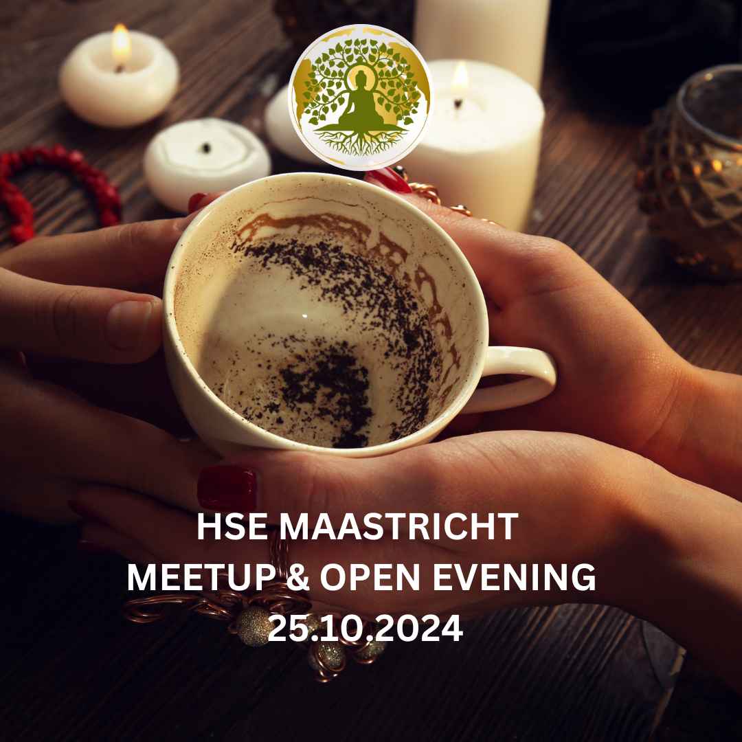 Ticket for Maastricht HSE Meetup & Open Evening 25.10.2024