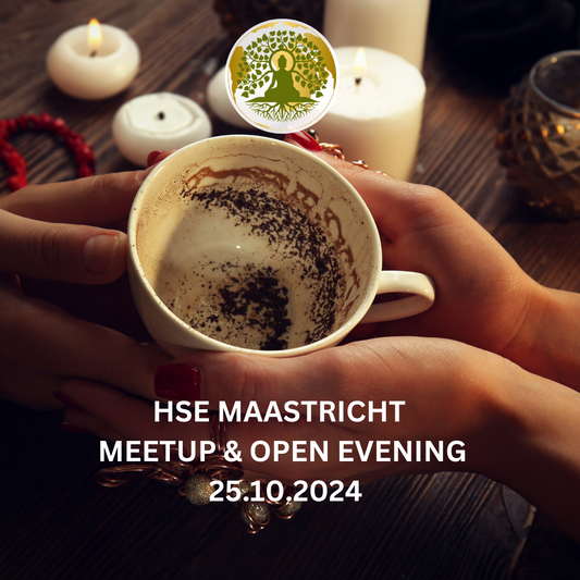 Ticket for Maastricht HSE Meetup & Open Evening 25.10.2024